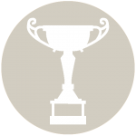 Silver Package Icon